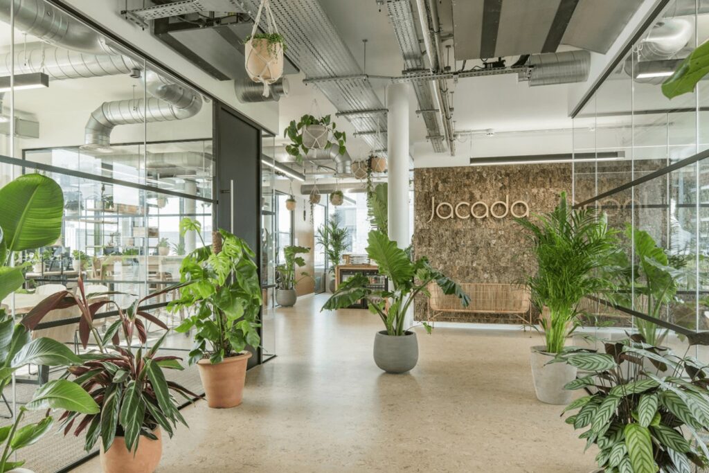 Biophilic Office Design And How To Achieve It Interia